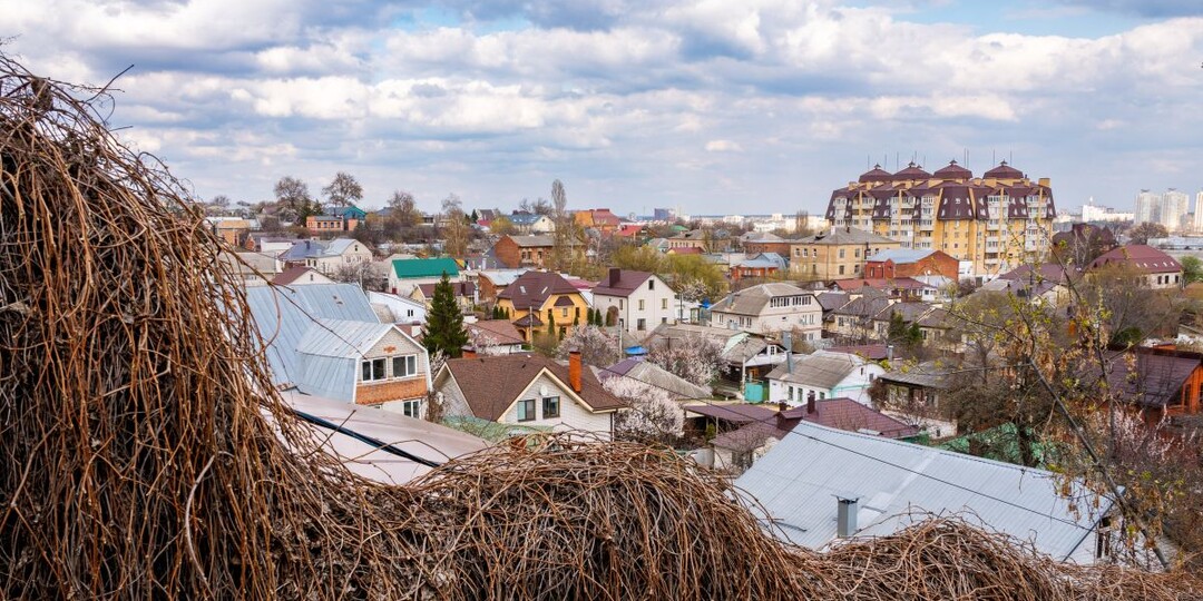 Синоптики рассказали, какой будет погода в Воронежской области в мае