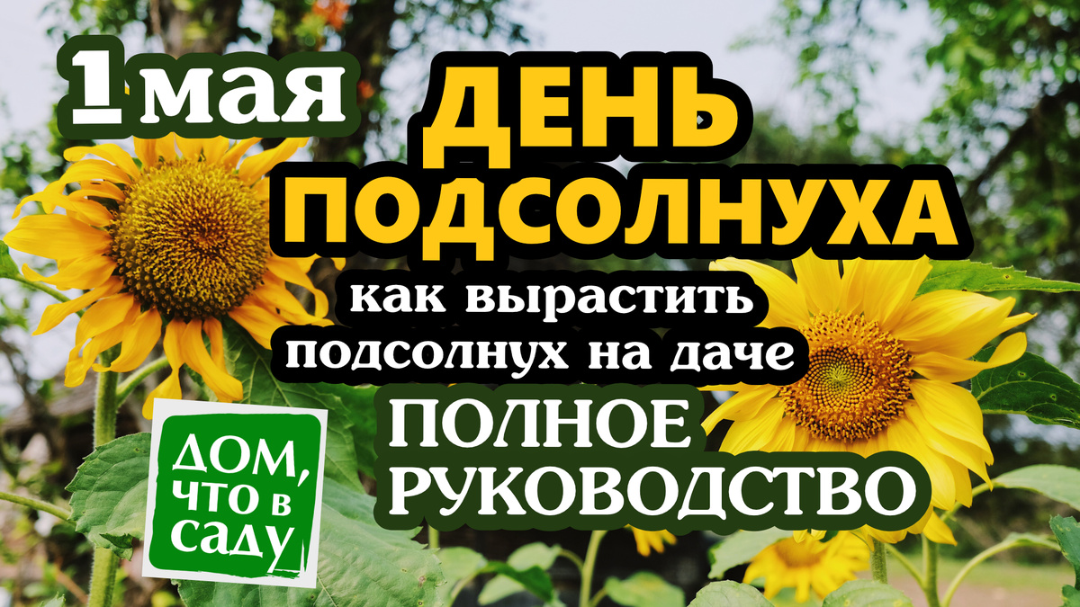 Дом, что в саду