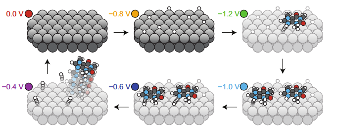   Christopher H. Hendon et al. / Nature Chemistry, 2026