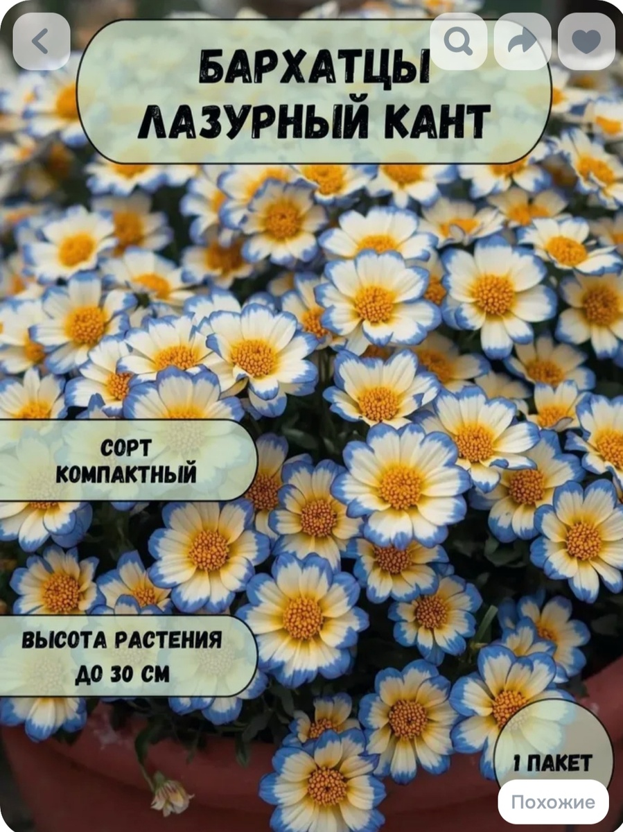 Ну красота же! 