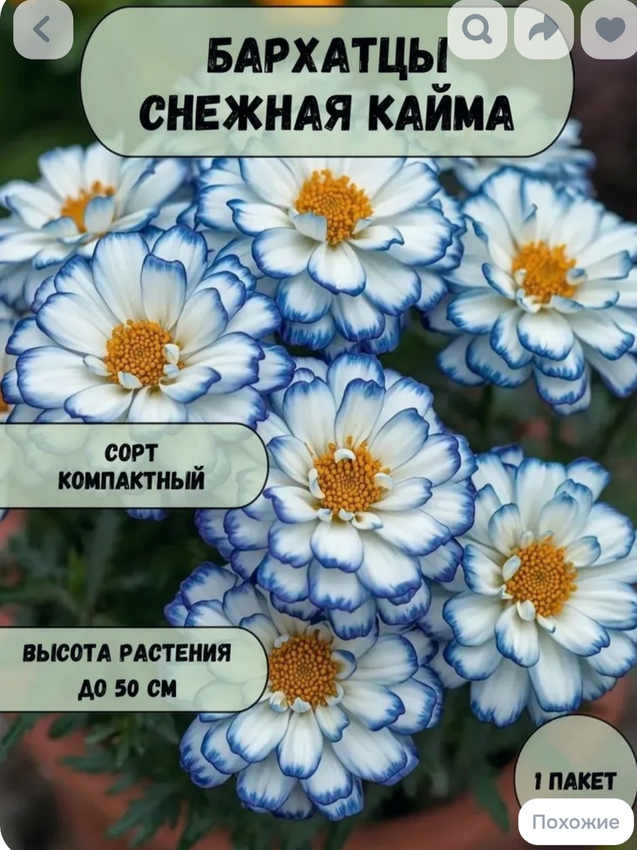 А эти ещё краше. 