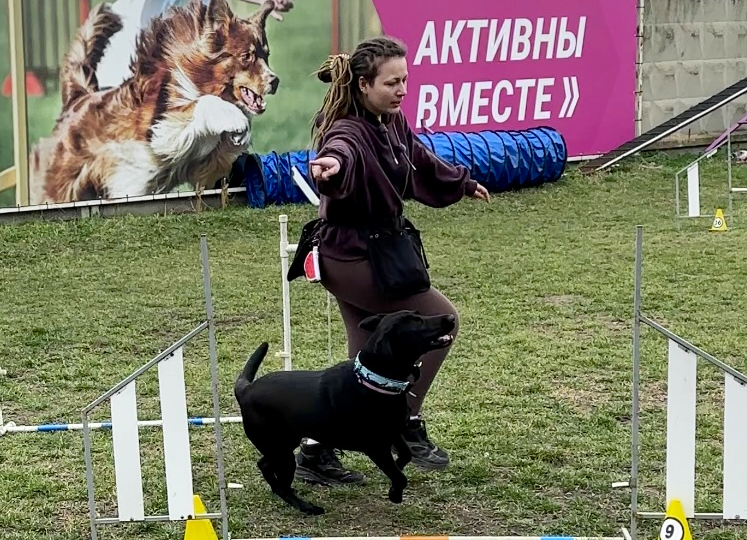 Уйти из соцсетей, чтобы стать кинологом: стоило ли оно того?