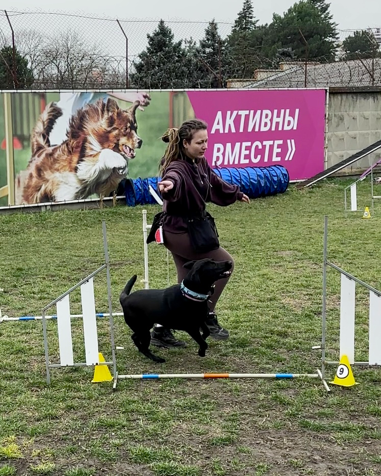 Приветствую! На связи Котовски. Здесь делюсь своими мыслями, моментами из жизни и уникальной атмосферой. Надеюсь, мой контент вдохновит тебя и подарит море положительных эмоций. Добро пожаловать! Не стесняйся подписываться и заглядывать ко мне почаще ;)