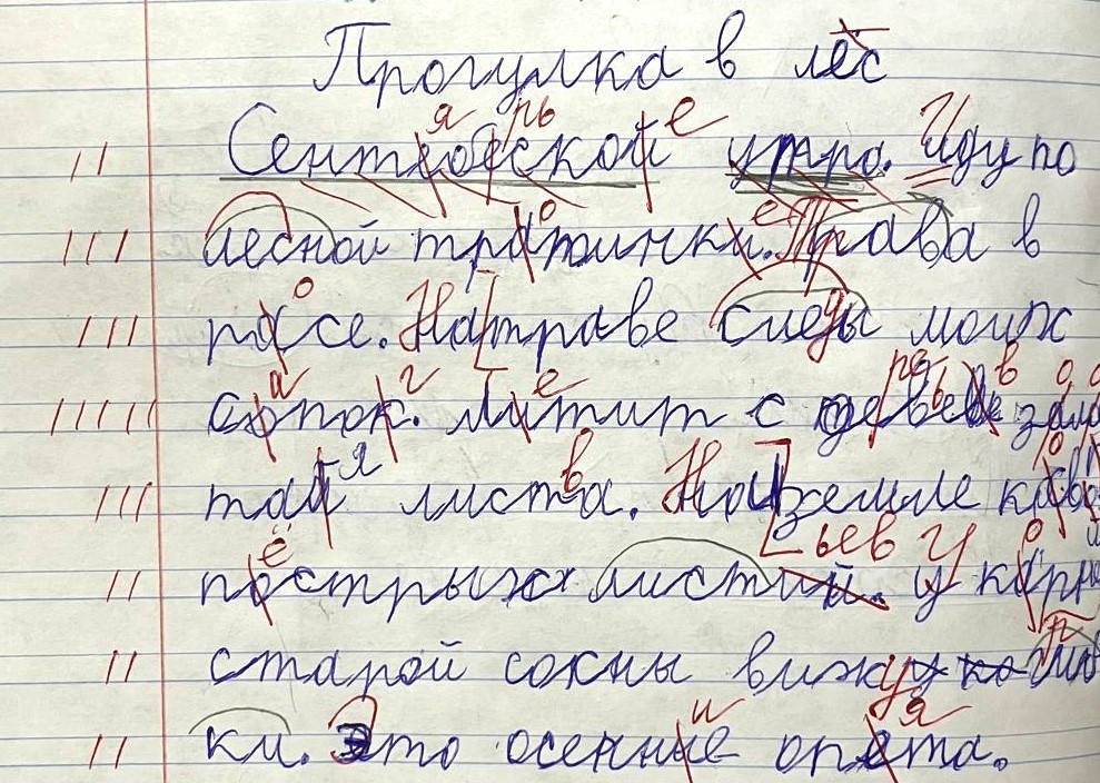 Дисграфия сегодня всё чаще - это история воспитания без запретов.