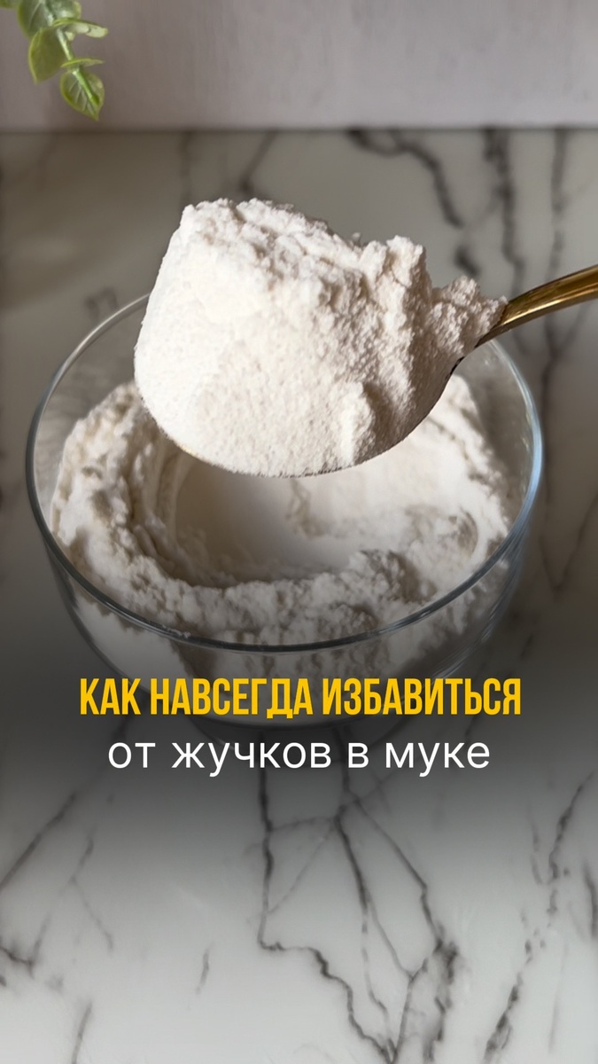 Как навсегда избавиться от жучков в муке