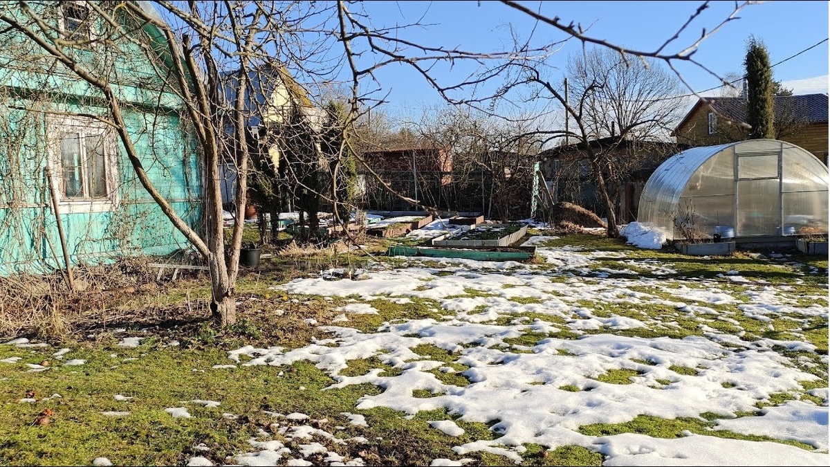 фото из открытого источника