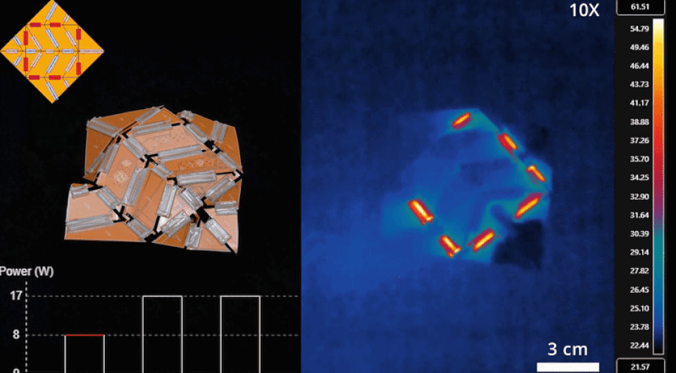   D. C.Bershadsky et al. / Advanced Functional Materials, 2026