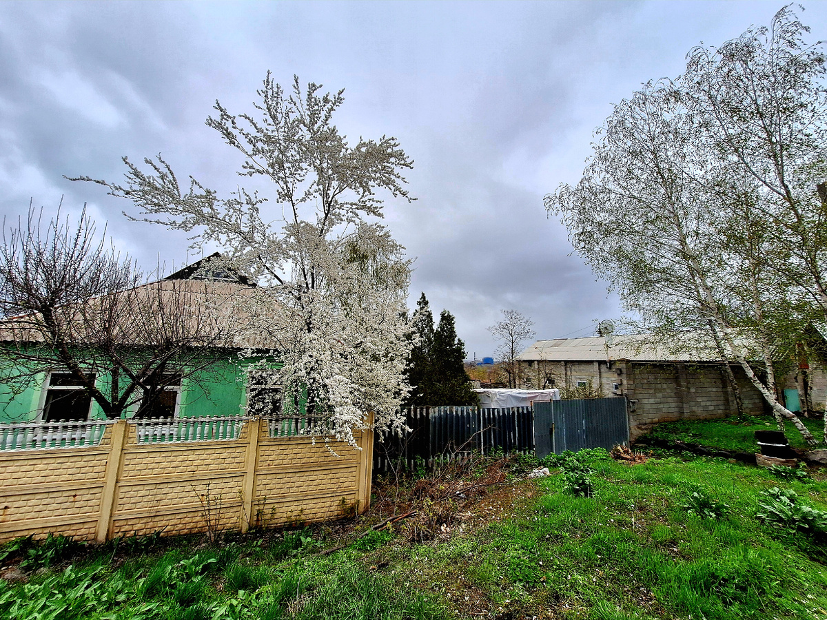 Фото автора.Улицы Донецка.