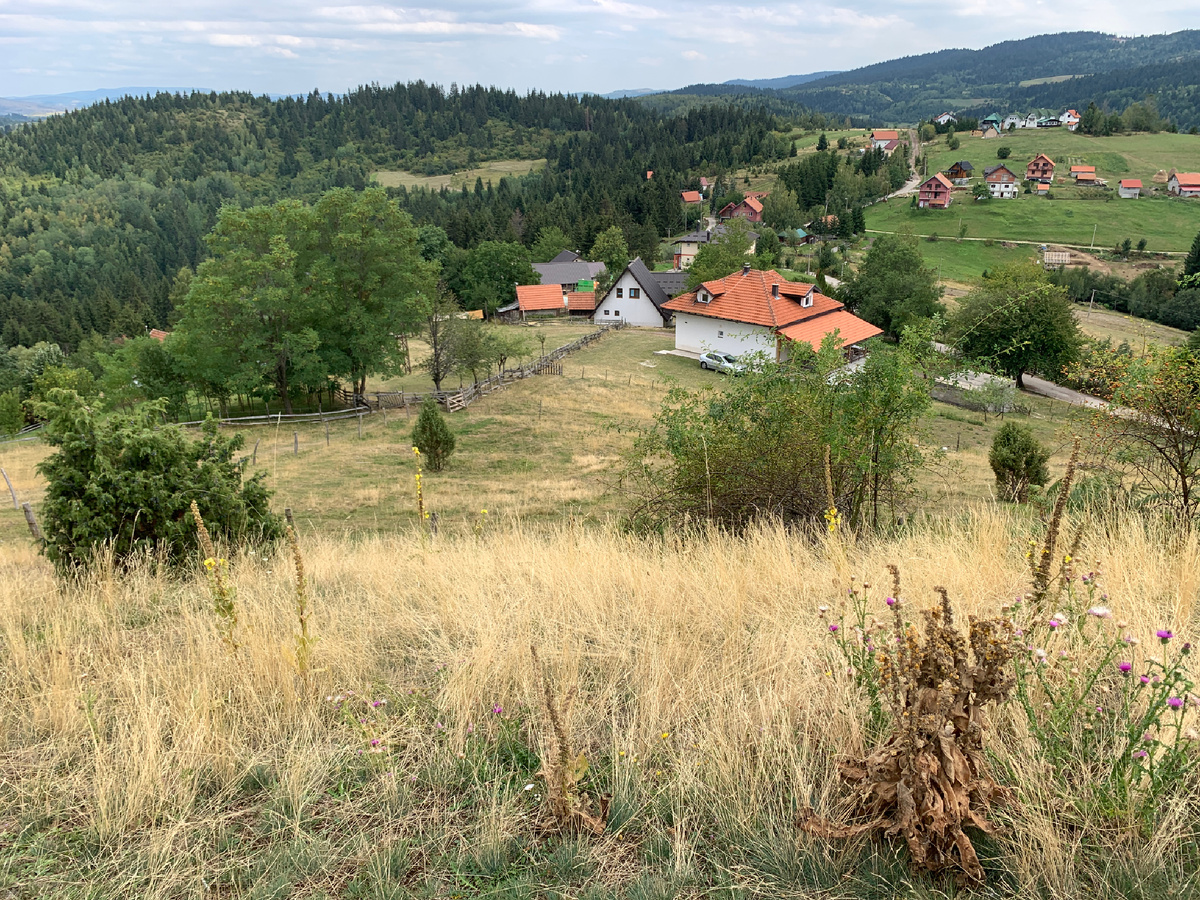 Гора Златар, Западная Сербия, фото автора 