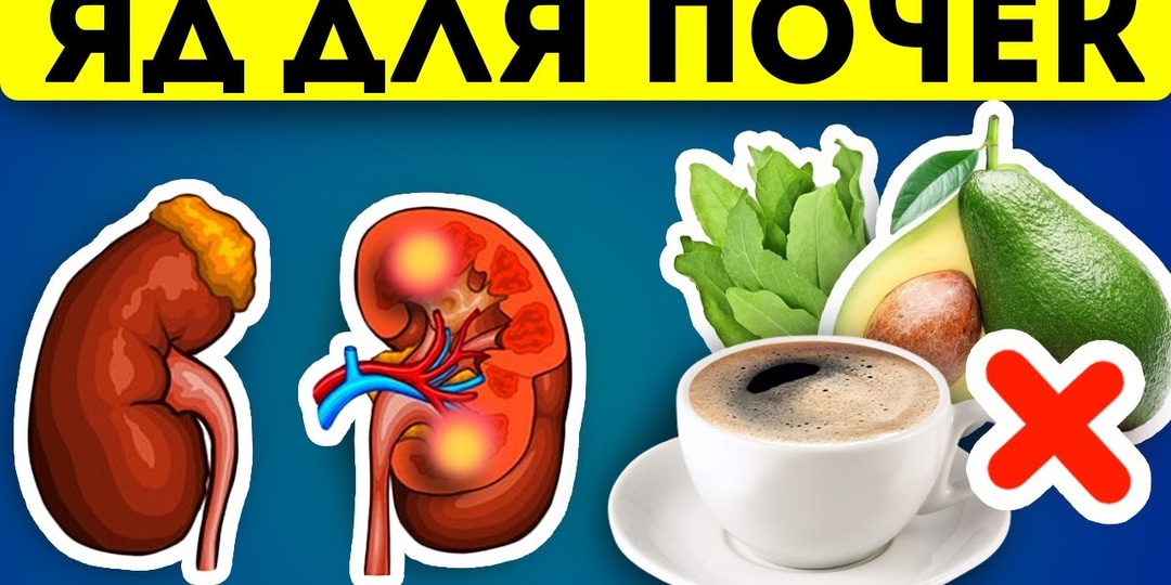 Очищение и восстановление ПОЧЕК и МОЧЕВОГО ПУЗЫРЯ + Вредная еда для почек