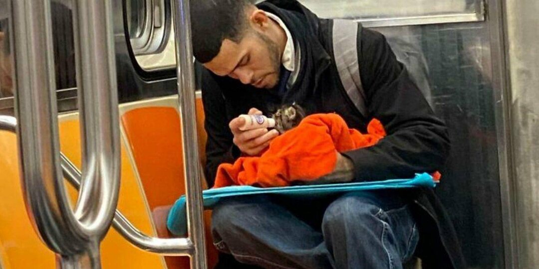 Милота в метро