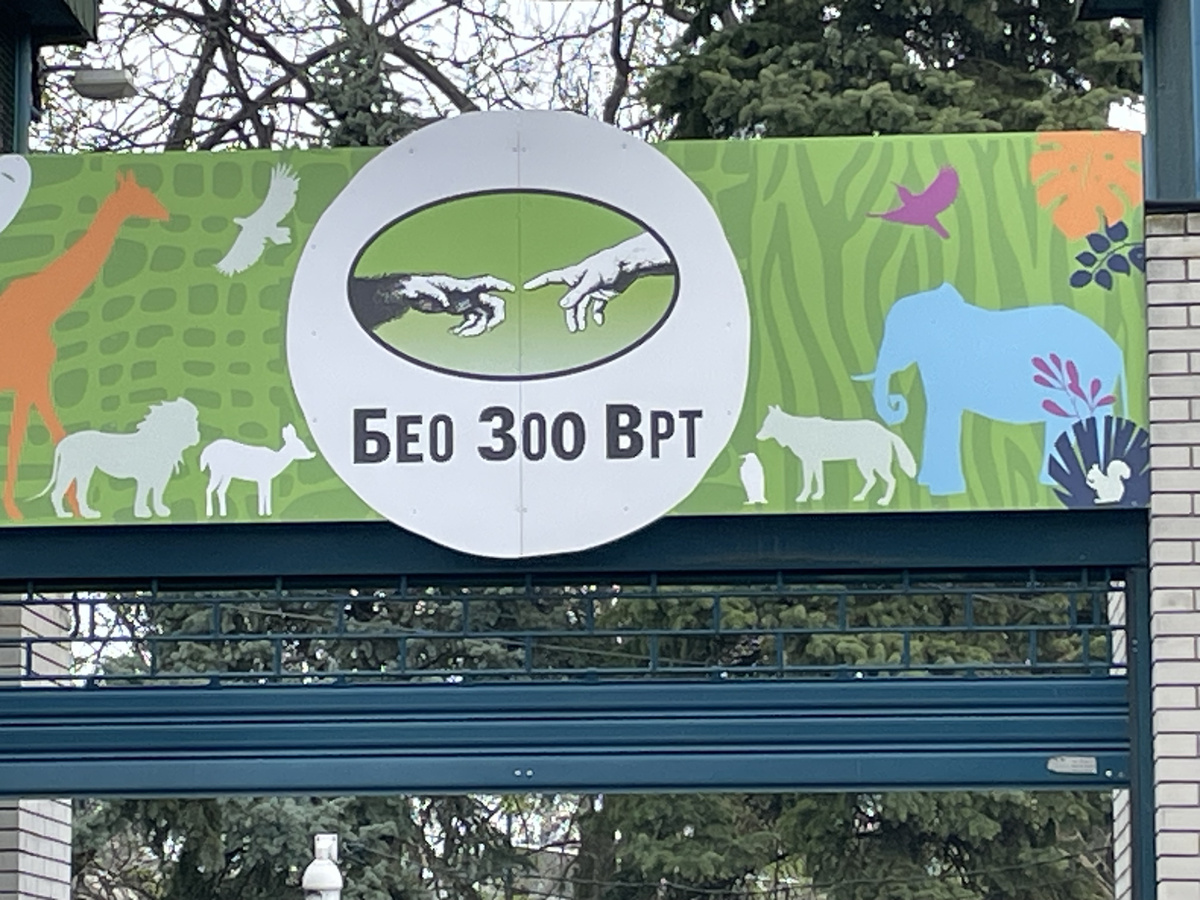 Белградский зоопарк расположен на территории крепости Калемегдан
