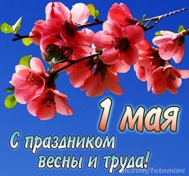 Фото из открытого источника