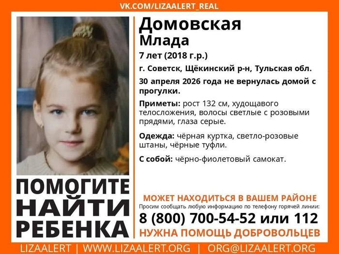 В Тульской области пропала семилетняя девочка. Фото © Telegram / ДПСО «ЛизаАлерт» Тульской области 
