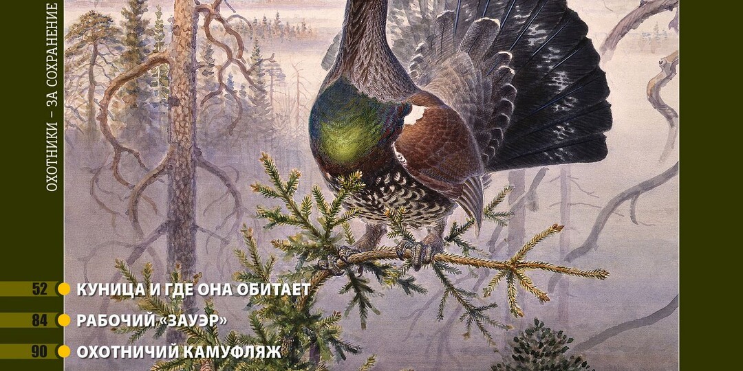 Охотничьи живопись и графика. «Русский охотничий журнал», №5 май 2026