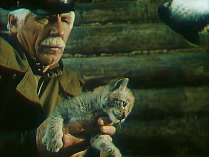 Кадр из фильма "Тропой бескорыстной любви" (1971)