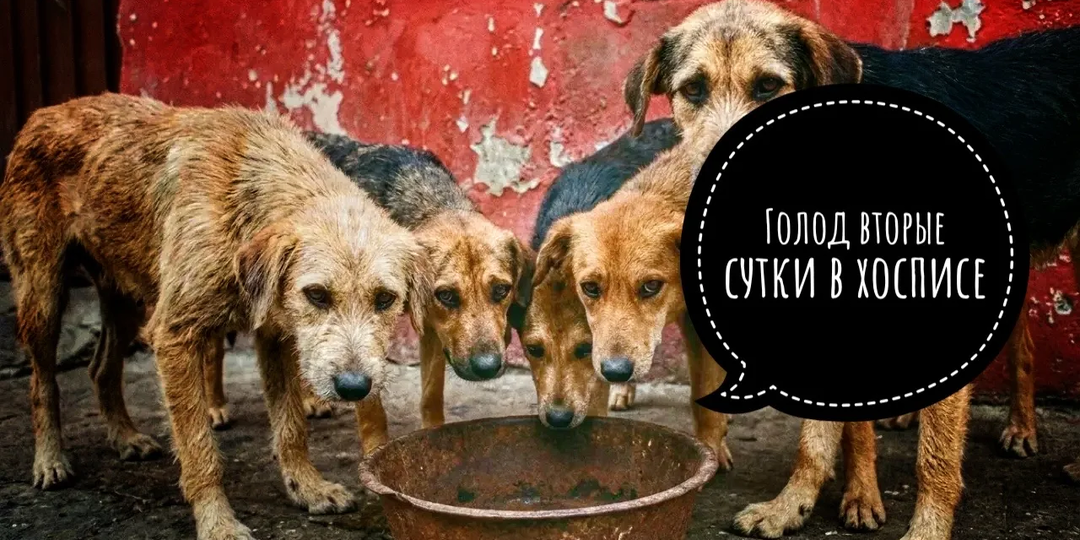 Кому шашлык на майские, а кому голод ВТОРЫЕ СУТКИ!