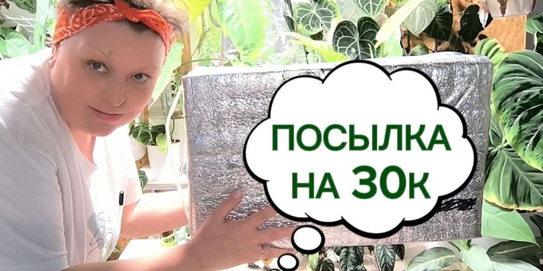 Доброе утречко! А я к вам с распаковкой