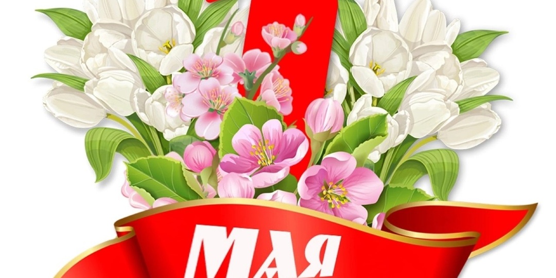 Дорогие друзья