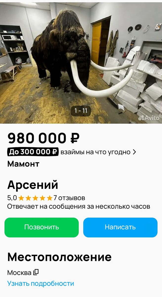 Скриншот с авито 