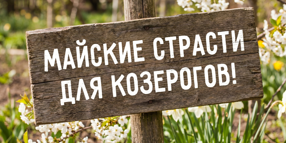 МАЙСКИЕ СТРАСТИ ДЛЯ КОЗЕРОГОВ!