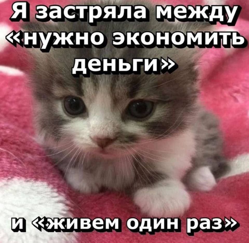 Мем из группы БАРсиков