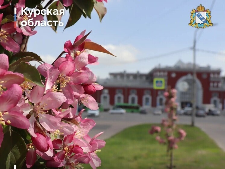     Фото: правительство Курской области