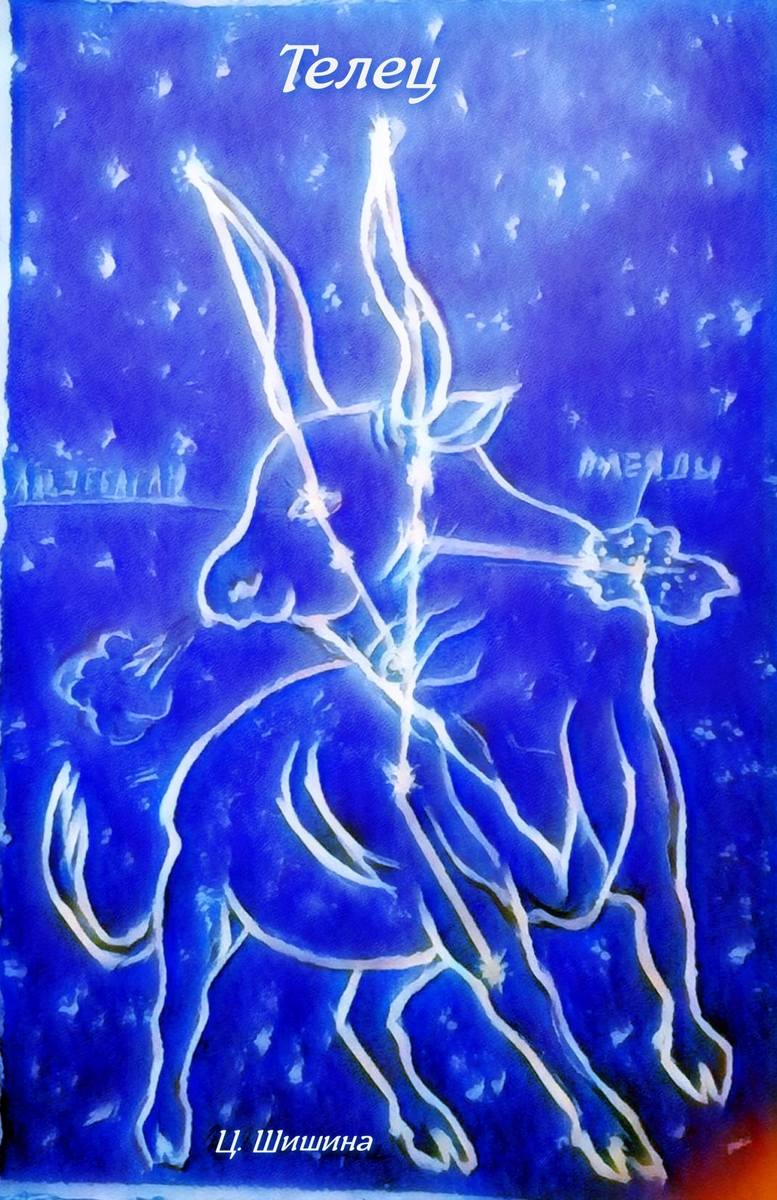 Рисунок Цветаны Шишиной