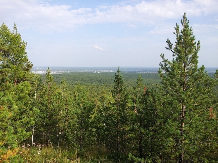     Свердловская область. Фото: Николай Курилов / МК-Урал