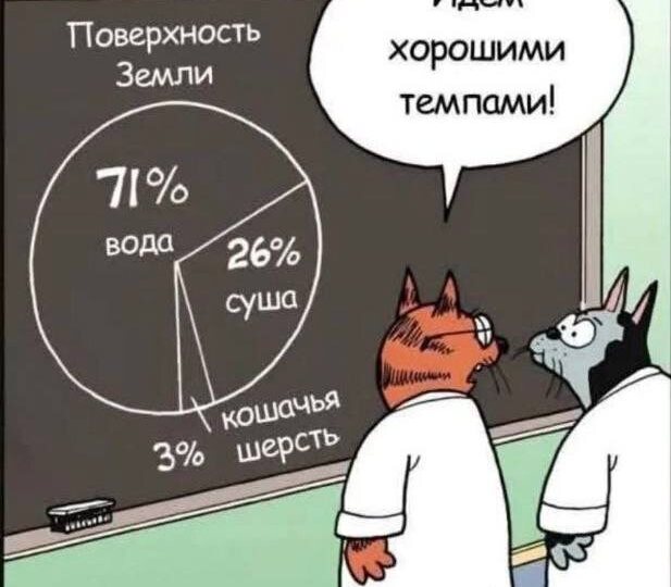 Говорят, котики повышают вовлечённость аудитории