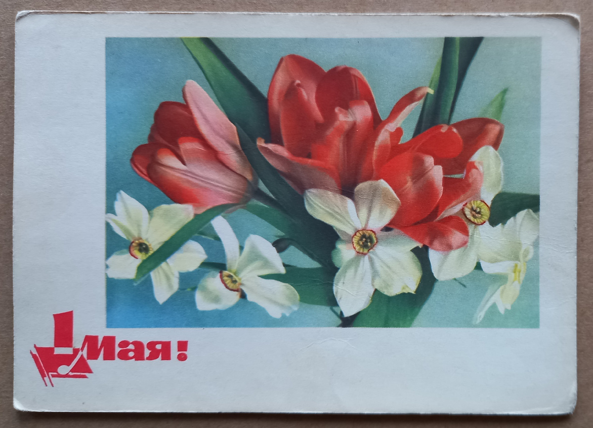 1965 г.. Цветное фото А. Ф. Шерстнева. Оформление художника И. Я. Дергилева. Издание Министерства связи СССР. Из коллекции автора.