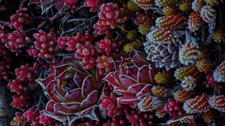 Фотограф Арина Кузнецова