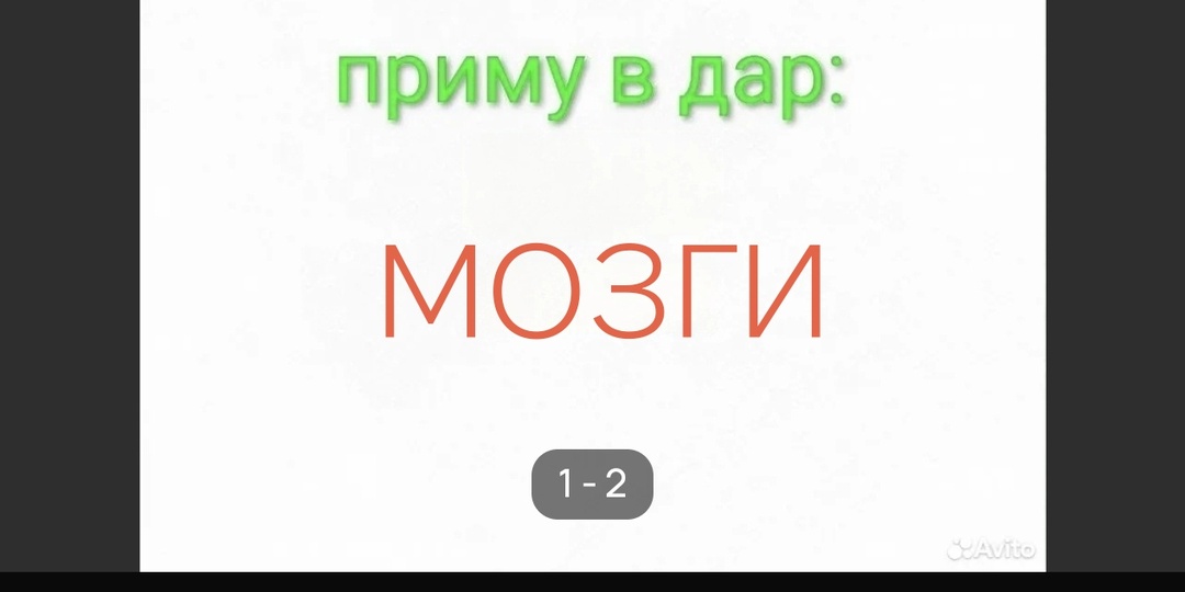 Как я начинал зарабатывать на Авито.