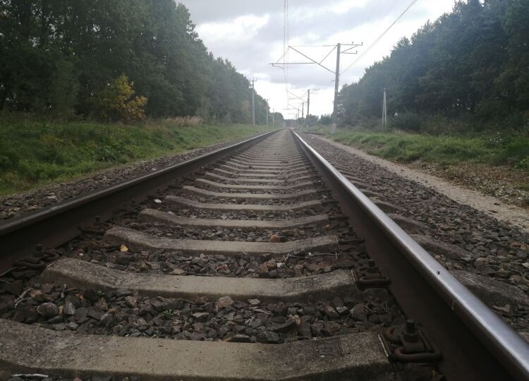 Пьяный пассажир хотел выпрыгнуть из поезда в Приамурье