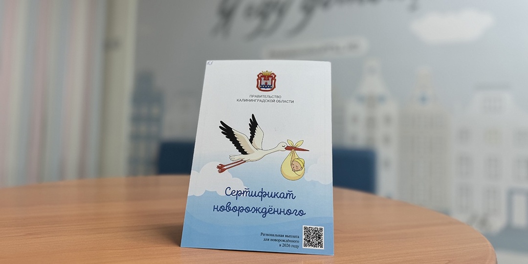 С начала года в Калининградской области выдали 1803 сертификата новорождённых