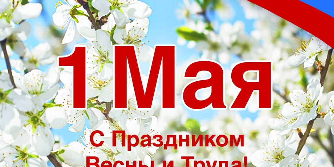 Уважаемые подписчики! Поздравляем с Днём 🌷весны и 🪏труда! Май — время, когда природа оживает, а вместе с ней появляются новые планы и