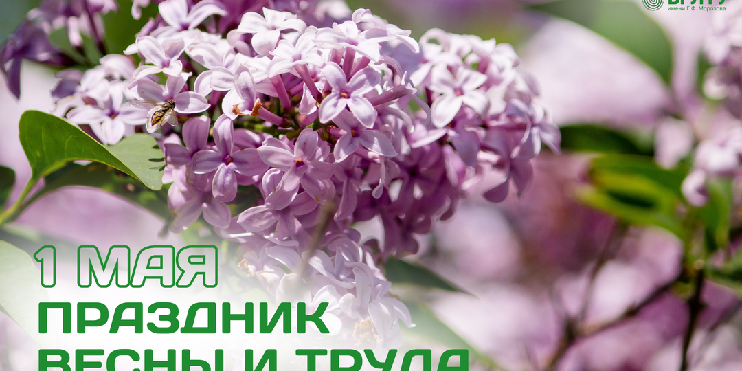Мир, труд, май!