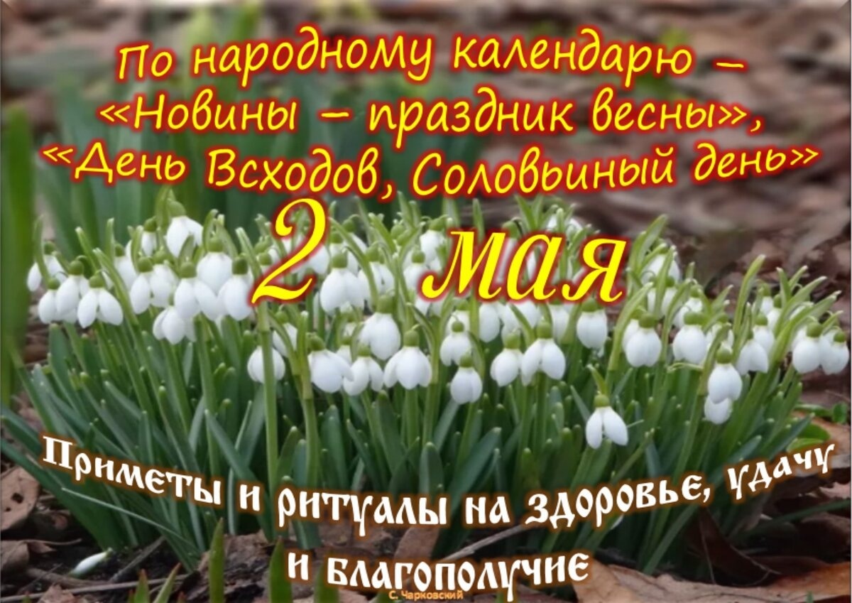 Встречаем новый день