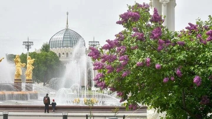 Фестиваль" Москва, расцветай!" на ВДНХ, фотография из открытых источников Яндекса