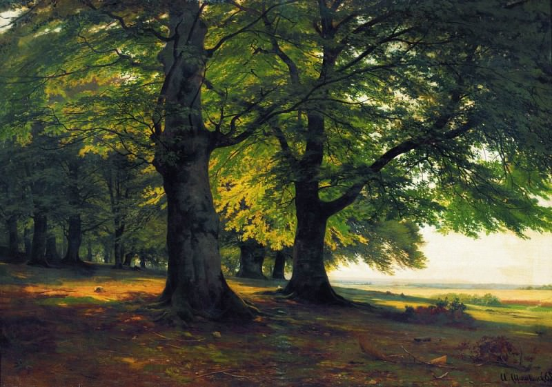 Тевтобургский лес. 1865. 