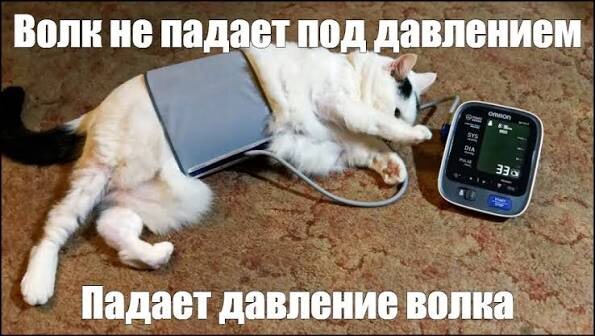 КАК ПРАВИЛЬНО ИЗМЕРЯТЬ ДАВЛЕНИЕ?
