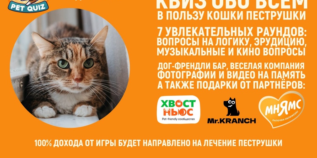 4 мая в 19:30 в дог-френдли кафе We Cidreria на Сретенке, 32 состоится благотворительный квиз в пользу кошки Пеструшки