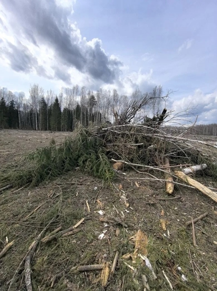     Фото пресс-службы регионального МЧС