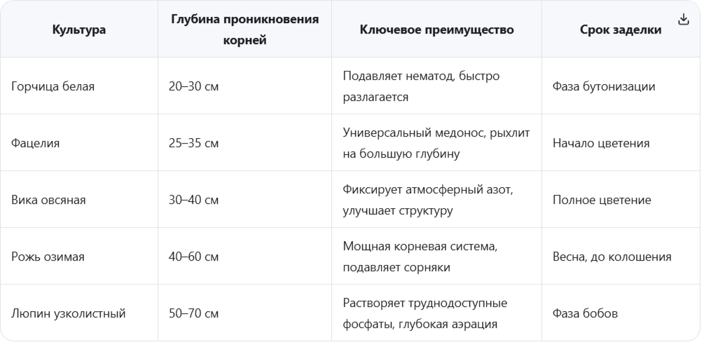 Лучшие сидераты для глины и их специфика