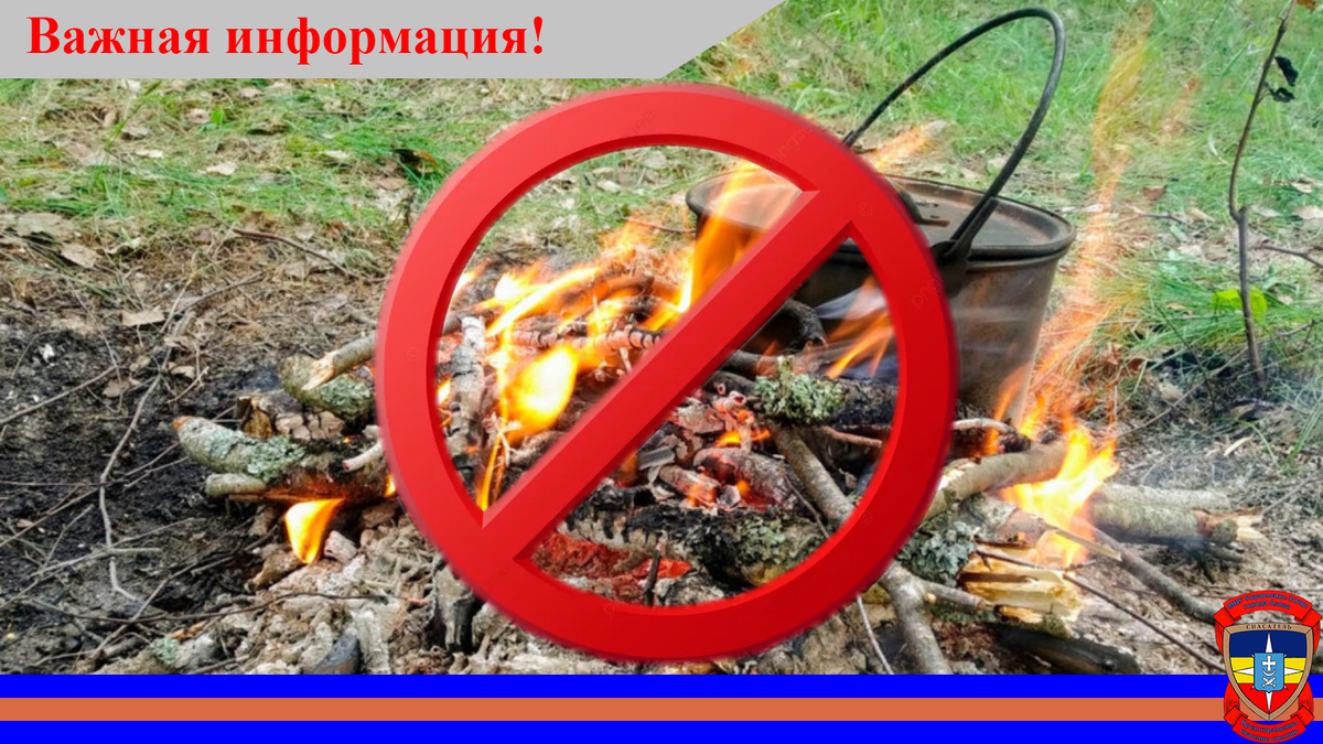 Источник: ресурсы мировой Сети