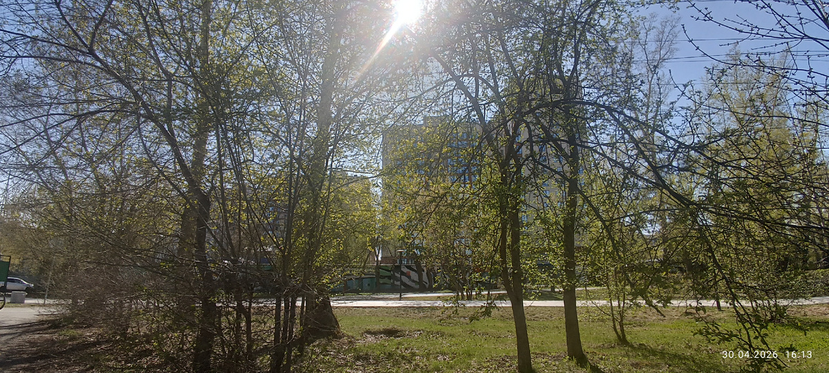 Где-то на просторах моего солнечного города. Фотография автора, апрель 2026 года. 