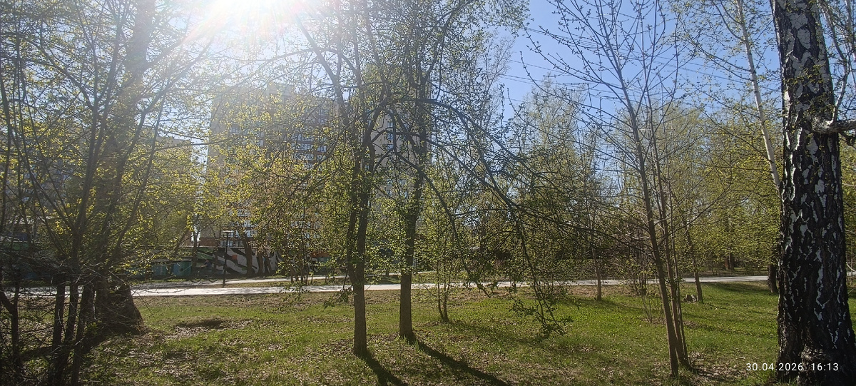 Где-то на просторах моего города. Фотография автора, апрель 2026 года. 