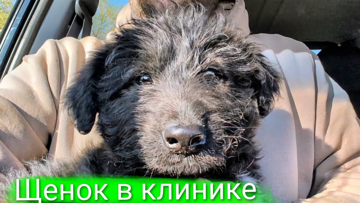 Мини Джанго