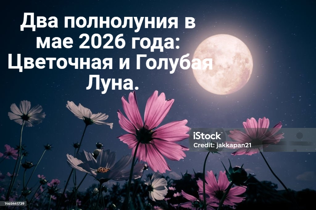 Стоковая фотография.