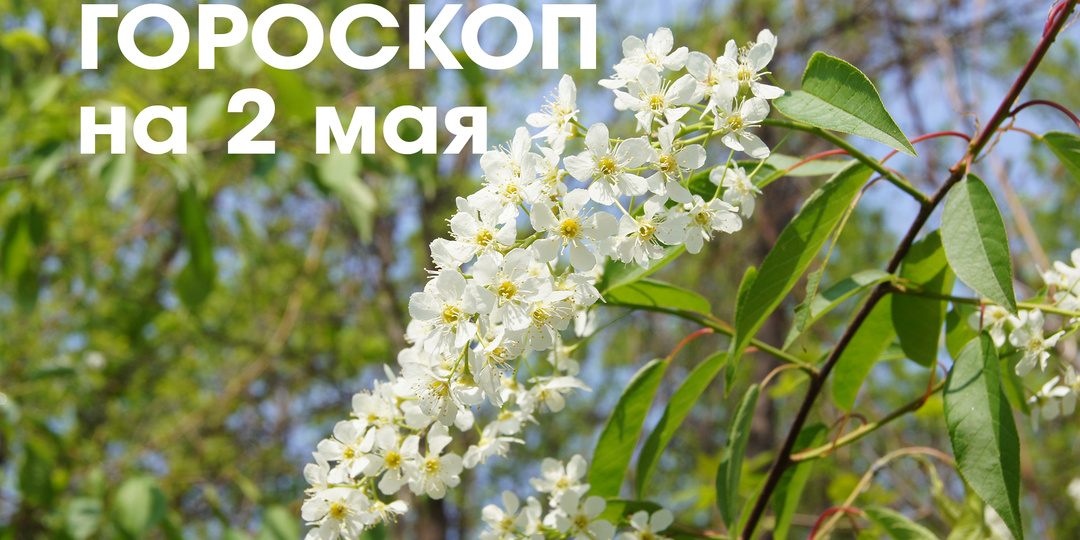 Гороскоп на 2 мая: убывающая Луна в знаке Скорпион дарит гармонию и спокойствие, можно отдохнуть от напряженных и активных действий